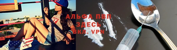 гашик Алзамай