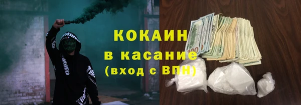 гашик Алексин