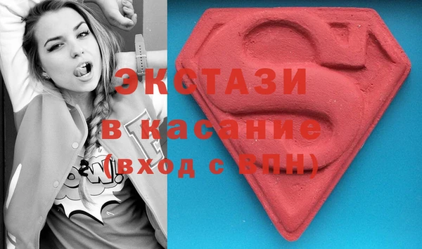 гашик Алексин