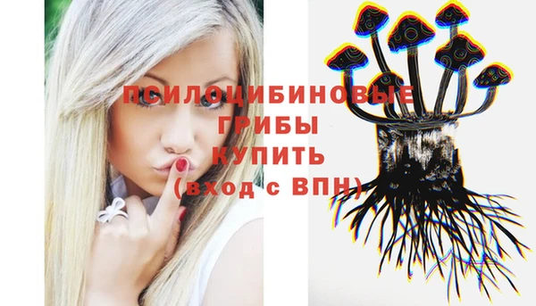 гашик Алзамай