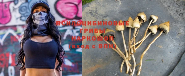 гашик Алзамай