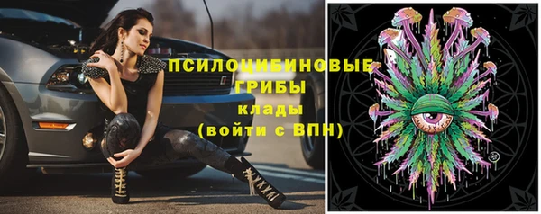 гашик Алексин