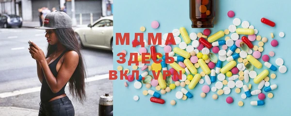 гашик Алексин