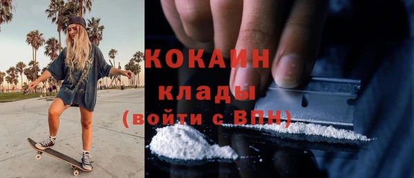 гашик Алексин