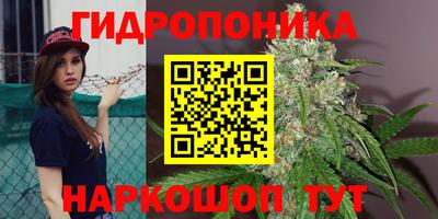 Альфа ПВП Камышлов