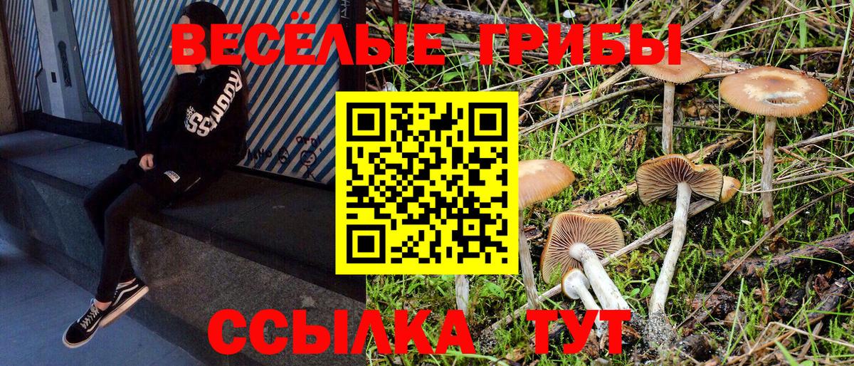 Псилоцибиновые грибы Magic Shrooms  Вход с VPN  Воткинск 
